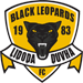 Black Leopards